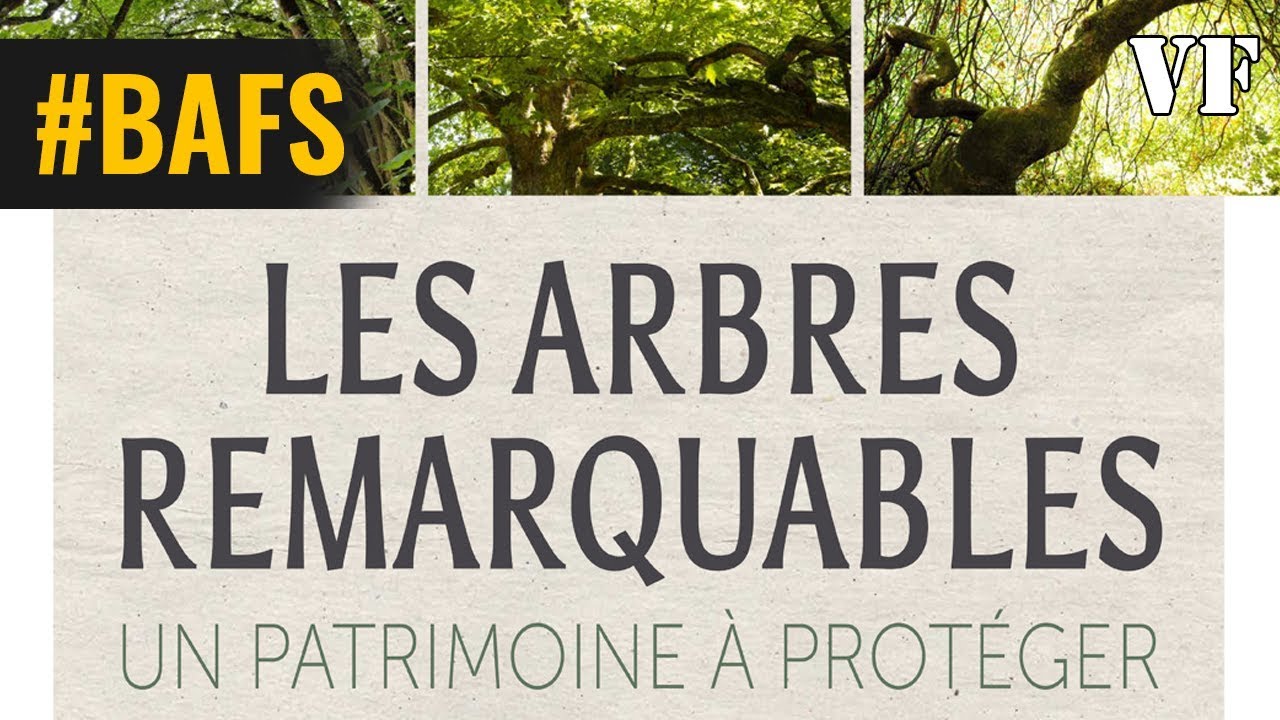 Les Arbres remarquables, un patrimoine &agrave; prot&eacute;ger  - Bande Annonce VF &ndash; 2019