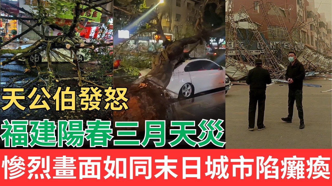 天公伯發怒！福建陽春三月天災！極端天氣過境後城市陷入癱瘓，慘烈畫面猶如末日景象！#天災 #極端氣候 #福建龍岩