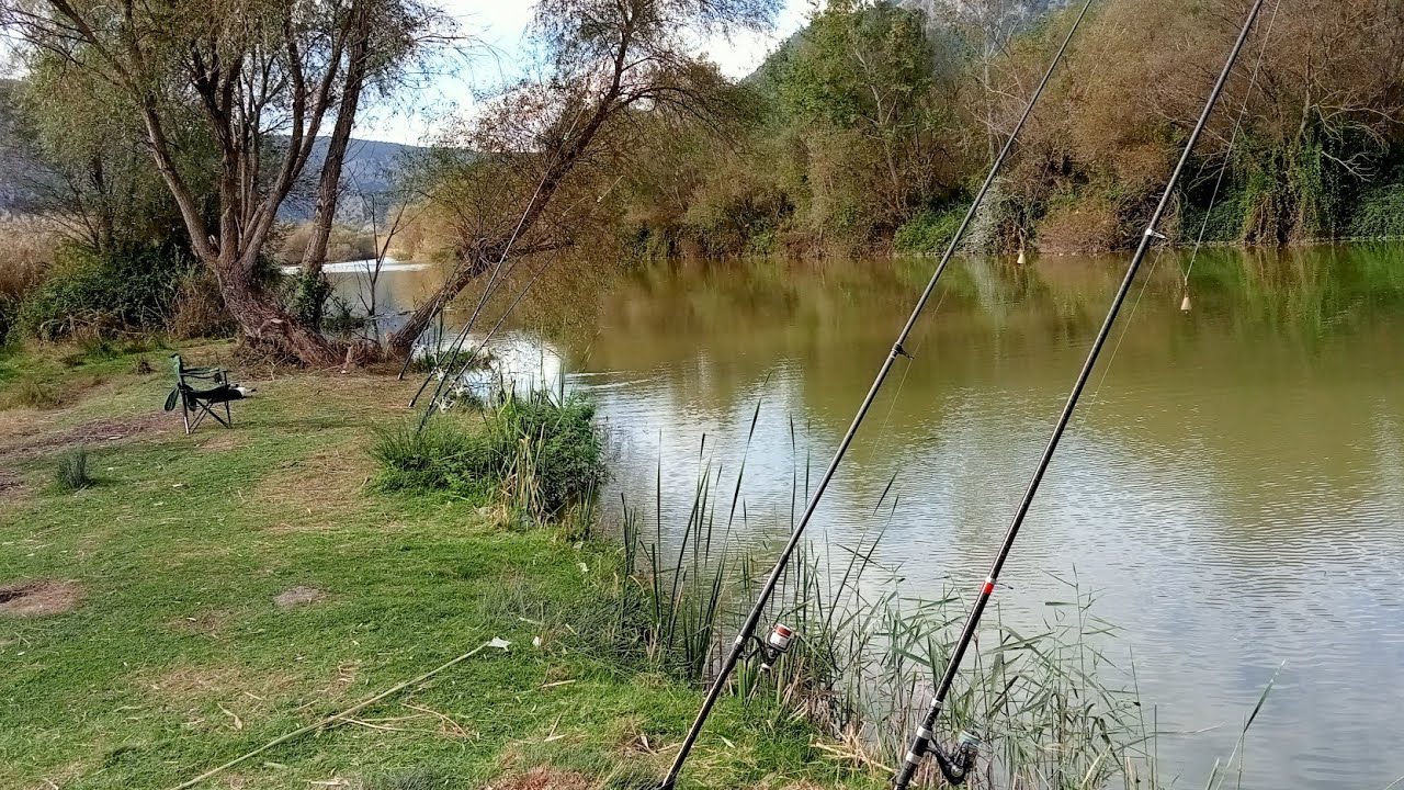 Sazan, yayın, kefal ne varsa yakaladık #carpfishing #Chub fishing #catfish #sazan #yayın #kefal