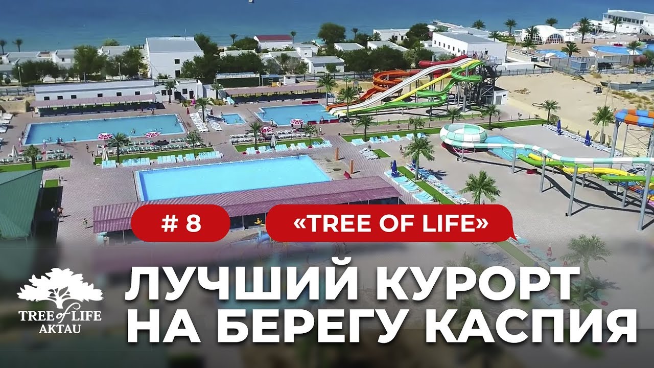 Tree of Life: 