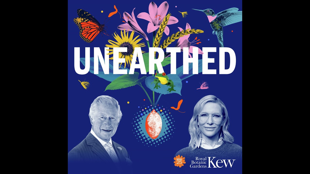 Специальный выпуск: С Его Величеством Королем