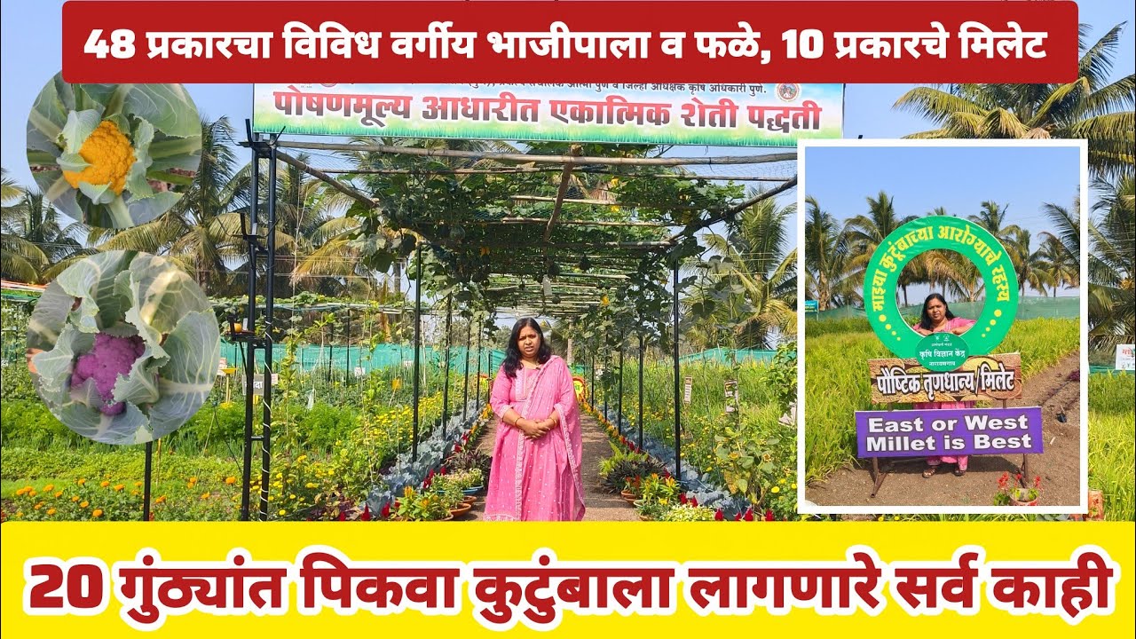 फक्त 20 गुंठ्यात 48 प्रकारचा विविध वर्गीय भाजीपाला व फळ पिके एकाच ठिकाणी l #पोषणबाग 