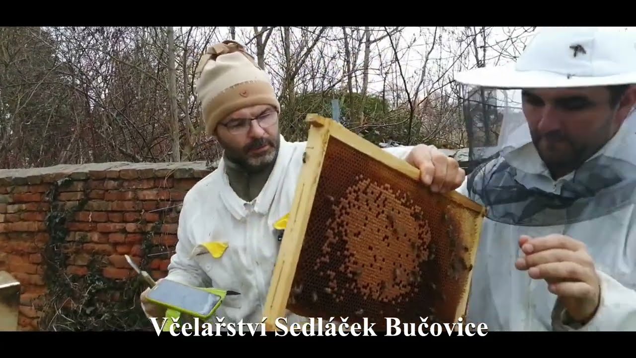 39/23 P2 u neoptimalizovaných VC, těsta kvasnicová a focení pro Bee strong 9.3.2023