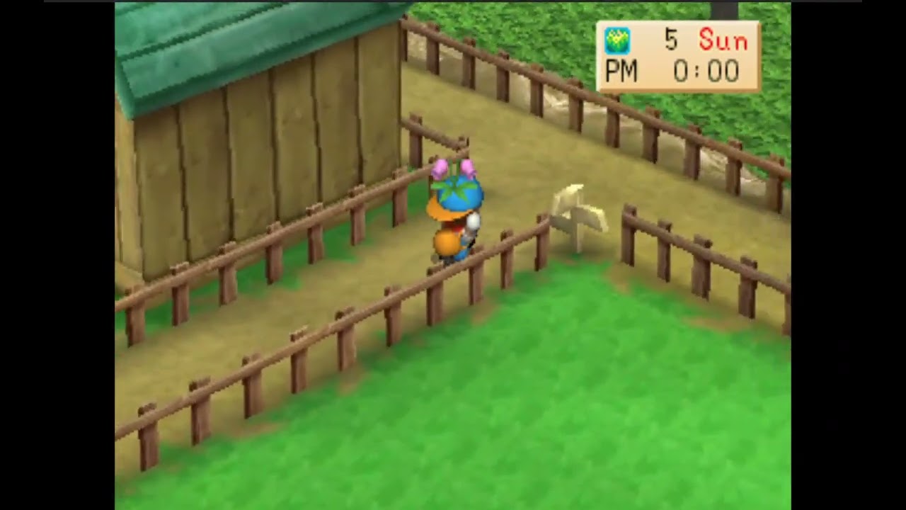 HARVEST MOON BACK TO NATURE TAHUN KE 2 SUMMER 5 TEBAR BUNGA KE ELLI ! TARGET HATINYA JADI MERAH!