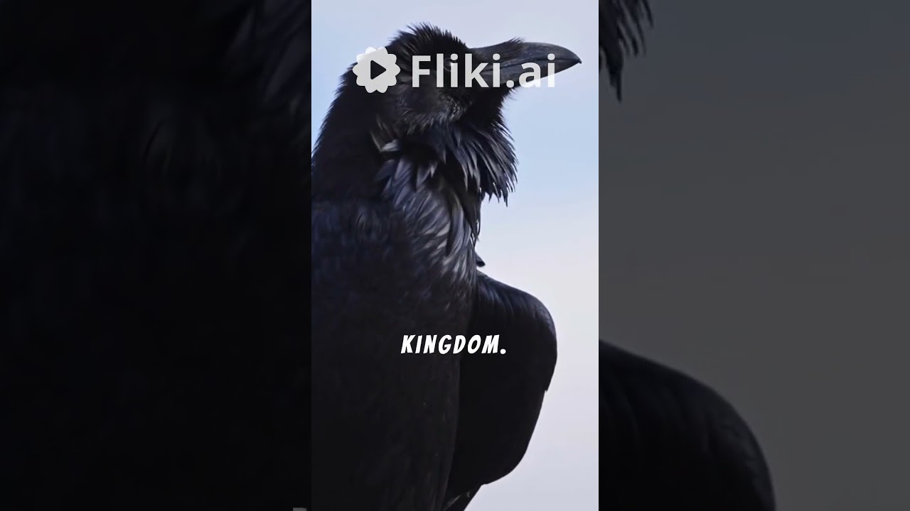 the intelligence and social dynamics of crows