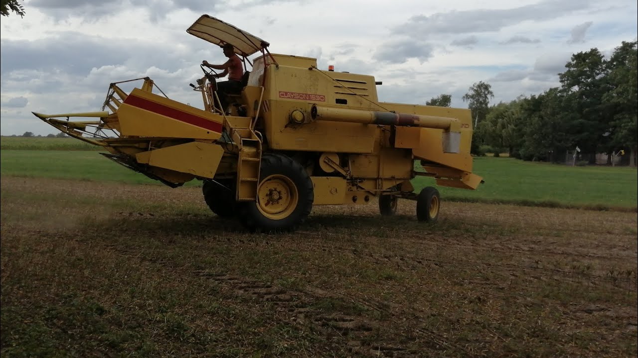 New Holand 1530 Żniwa 2023  koszenie łubinu
