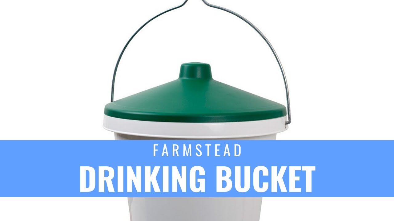 Chicken Drinking Bucket