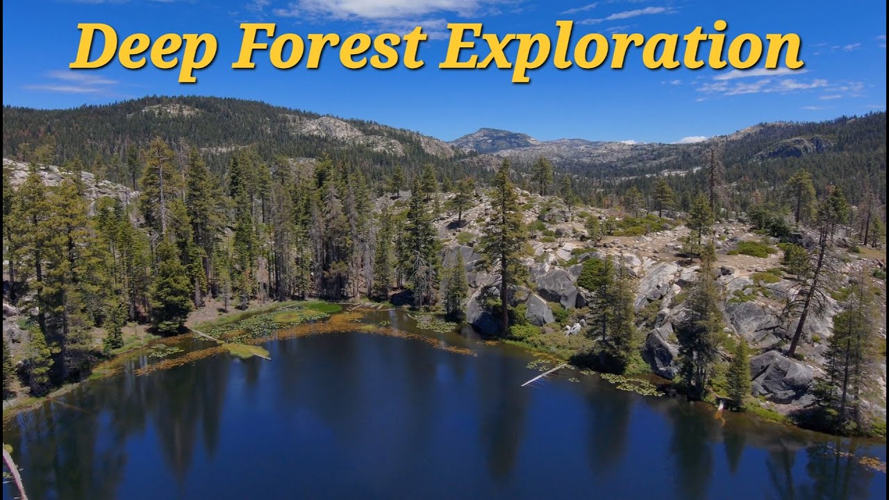 Hull Creek & Exploring Stanislaus National Forest