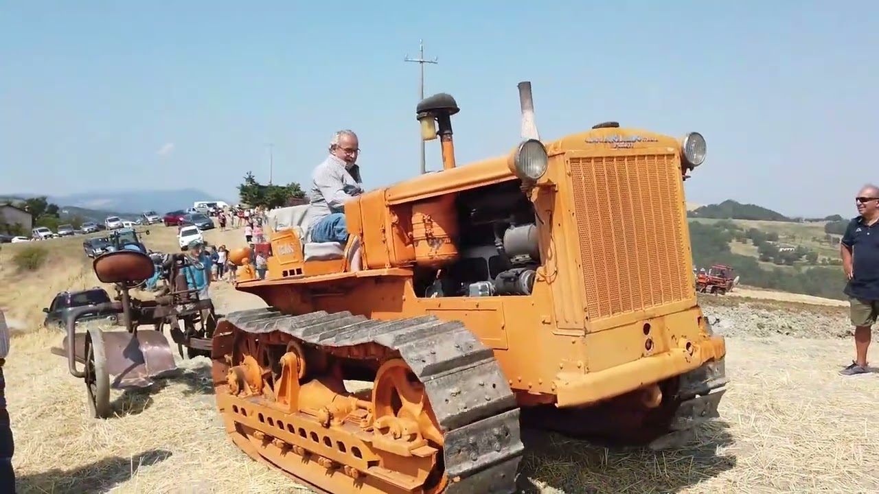 Festa del grano Trinit&agrave; di Canossa 17 luglio 2022