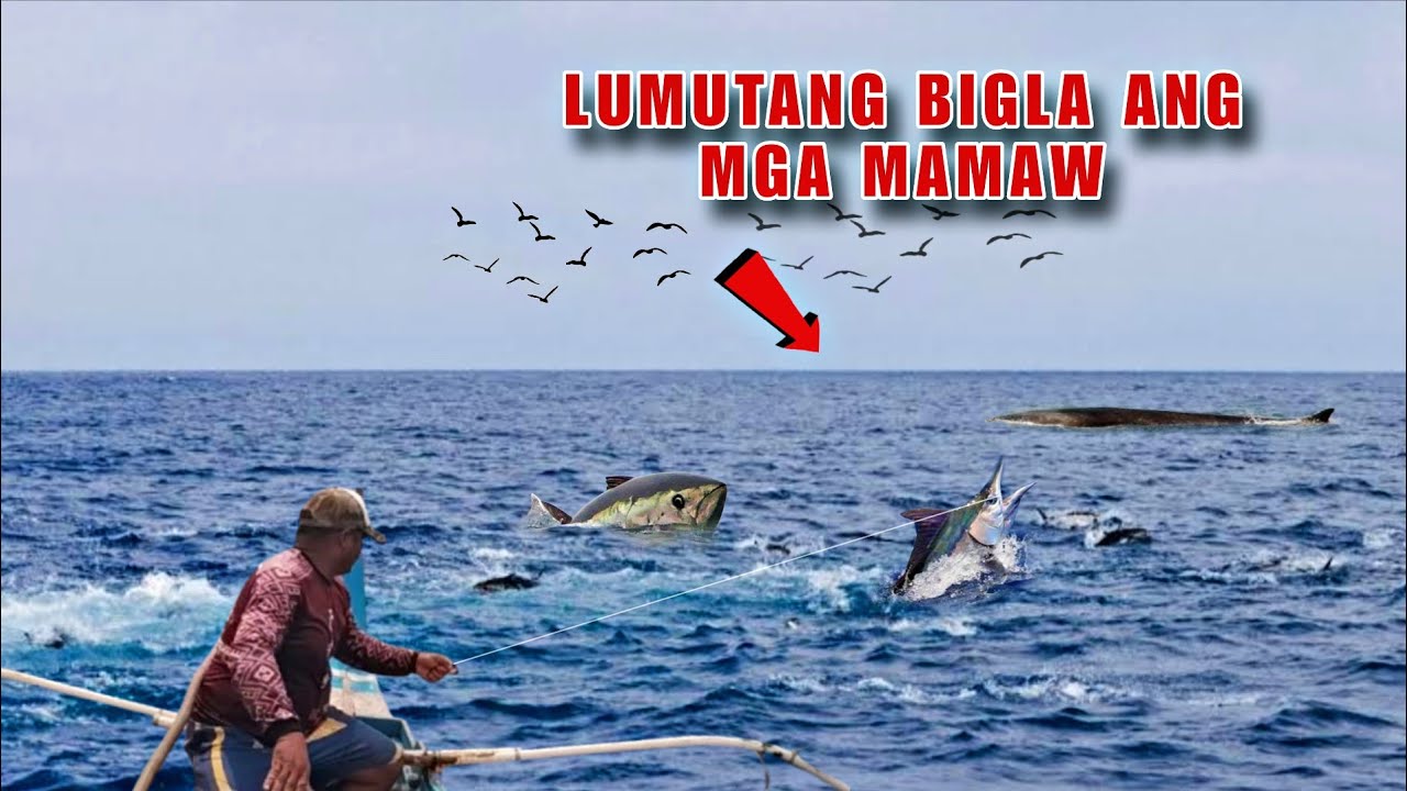 GRABE BIGLA NALANG LUMUTANG ANG MGA MAMAW | JACKPOT 8 PIRASO SA ISANG ARAW LANG
