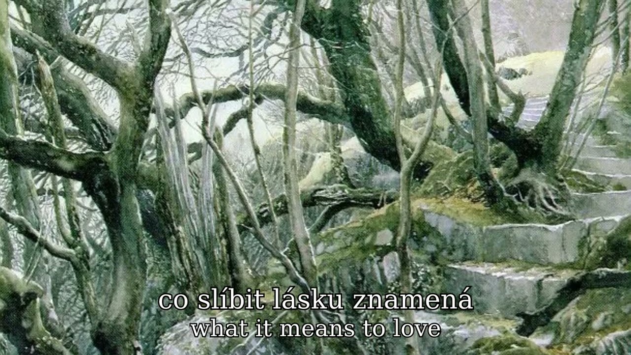 Fale&scaron;n&eacute; Společenstvo - Pochyby (lyrics in Czech and English)