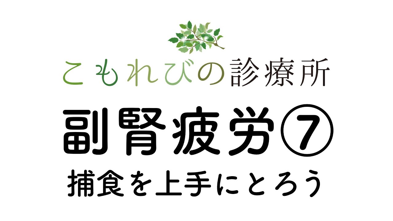 【こもれびの診療所】副腎疲労⑦ 捕食を上手にとろう