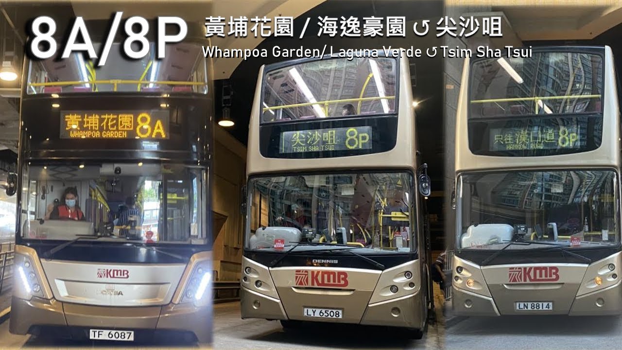【生日特輯：黃埔合集重製】KMB 九巴 8A/8P/8P特班 (黃埔花園 Whampoa Garden / 海逸豪園 Laguna Verde ↺ 尖沙咀 Tsim Sha Tsui)