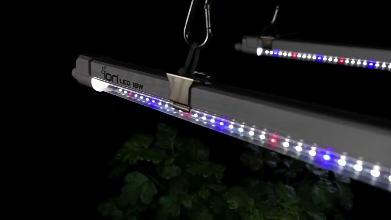 ION 36W LED Clone Light