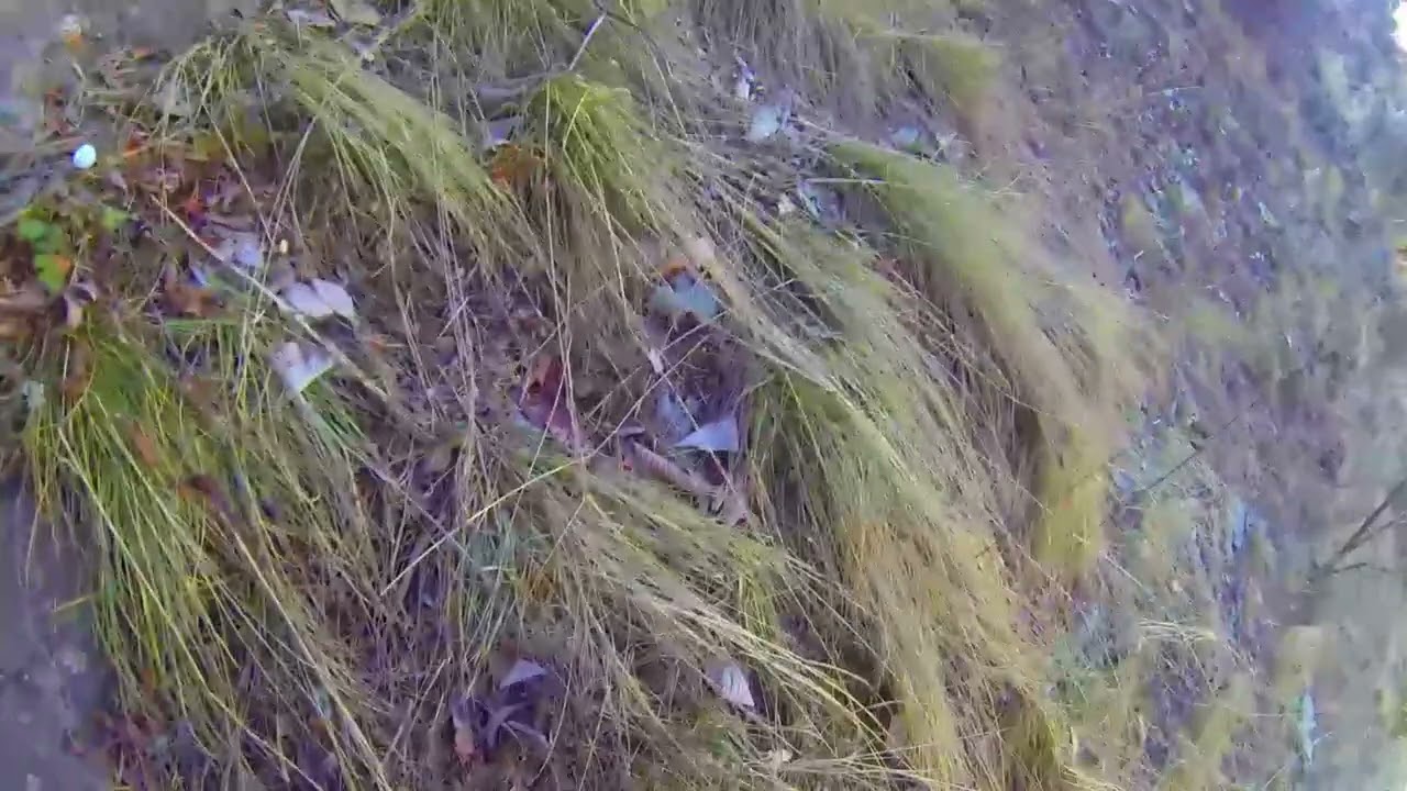 18 -12- 2021-STRADA X ROCHEMOLLES ARRAMPICATA SUL CIGLIO DEI DIRUPI