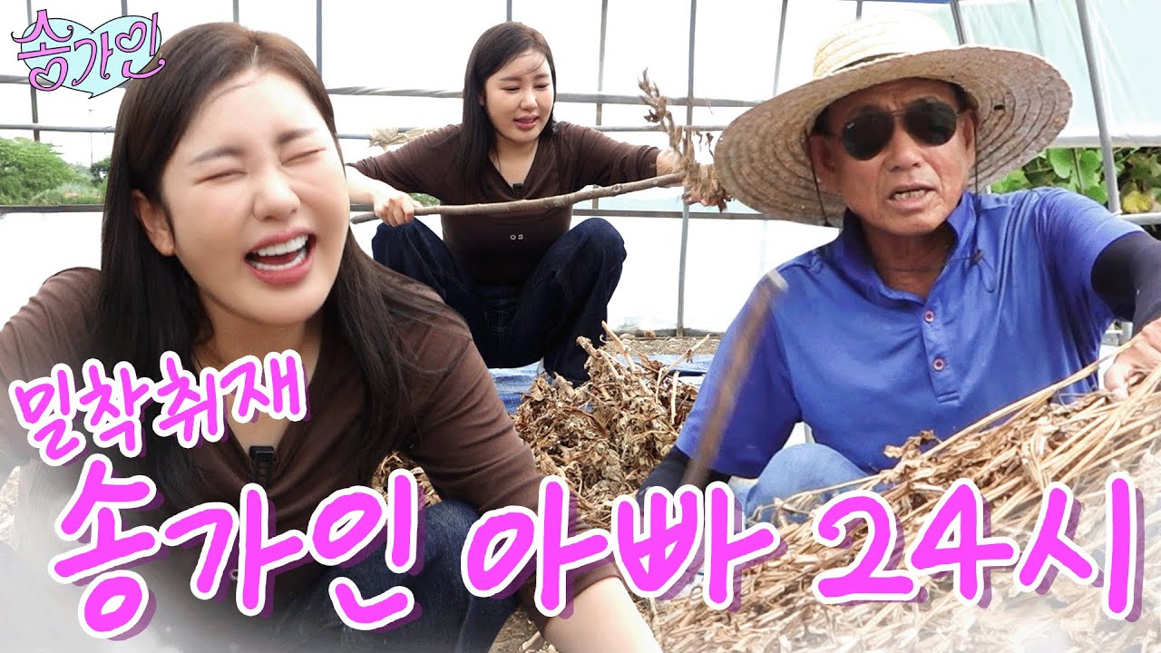 [가인이랑 아빠랑] 송가인 비켜! 행사 후 뻗은 막내딸 대신 송가인 아버지👨🏻‍🌾 출동! 진도 터줏대감 송버지의 삶 최초공개