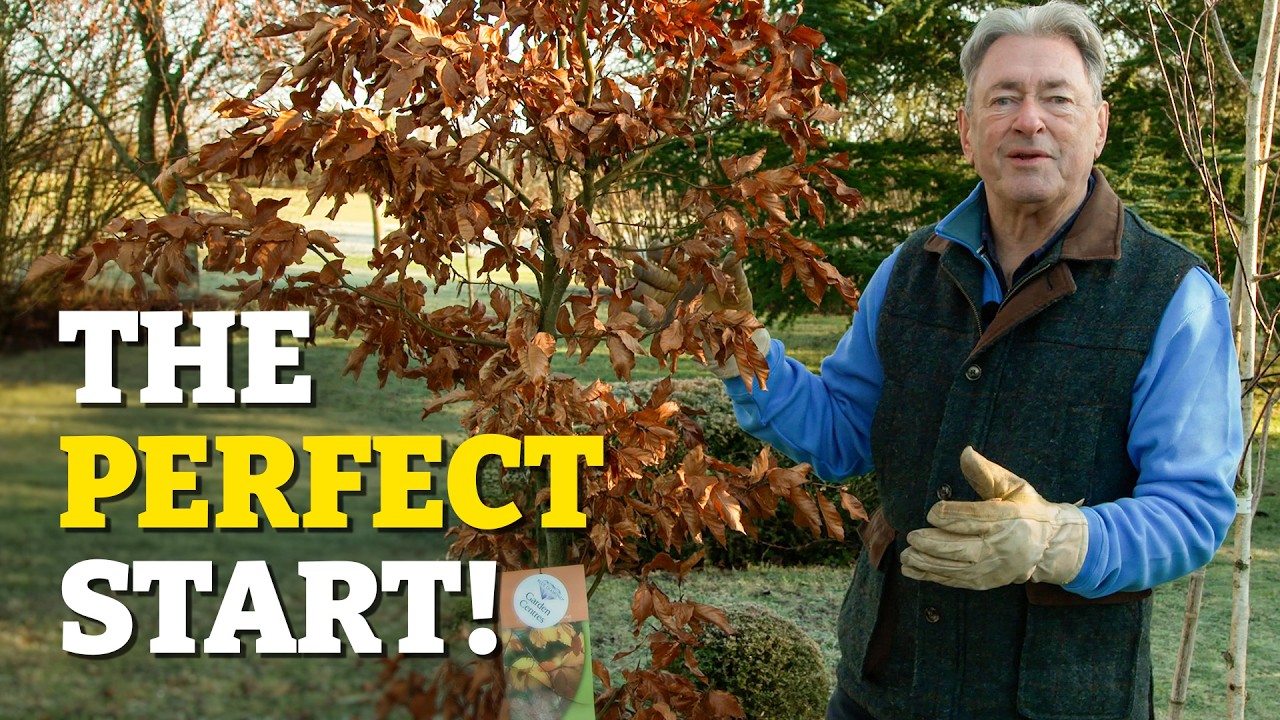 Don't Plant a Tree Until You Watch This!