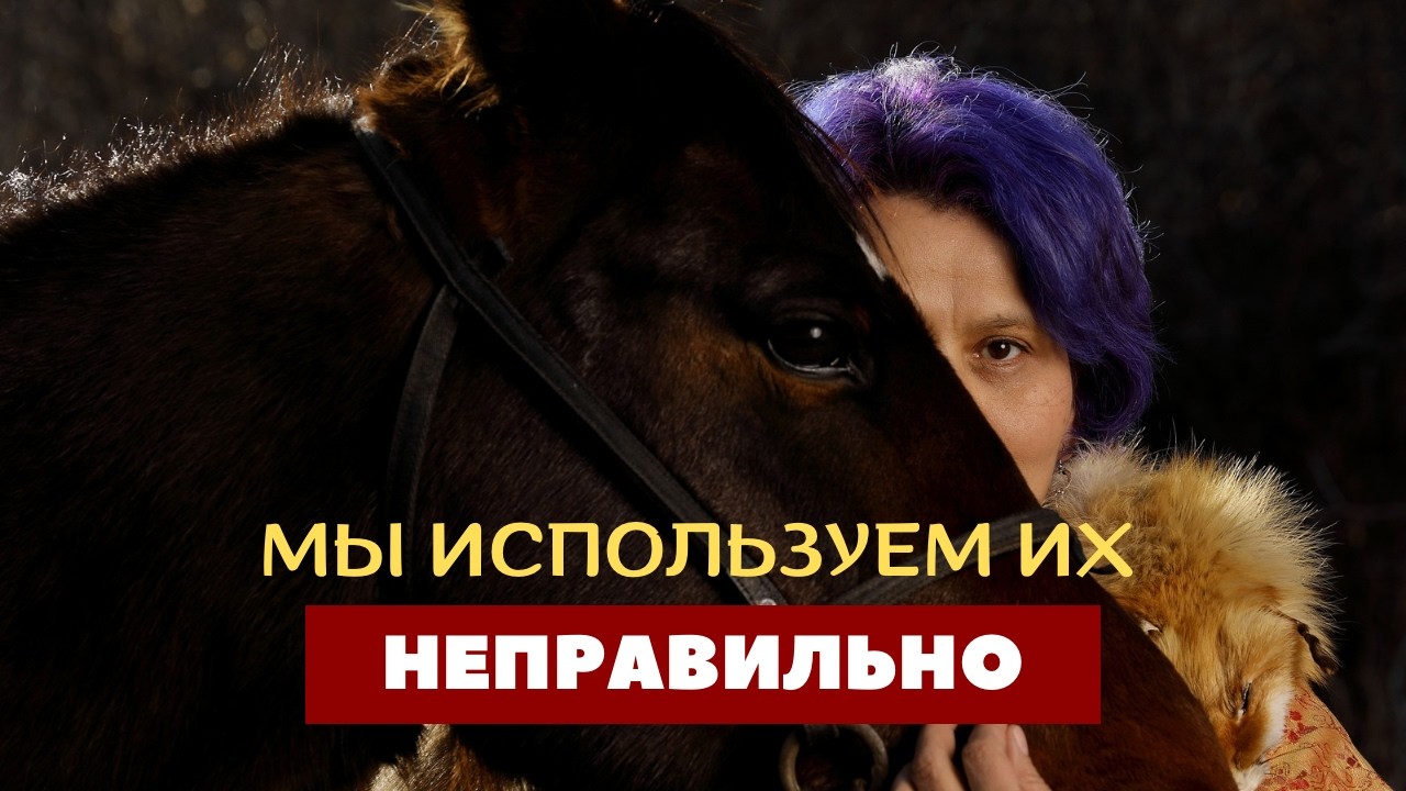 Тюркские орнаменты: почему их используют неправильно | Жанар Муратова