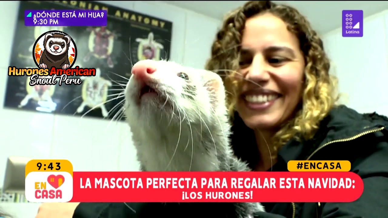 Reportaje de 