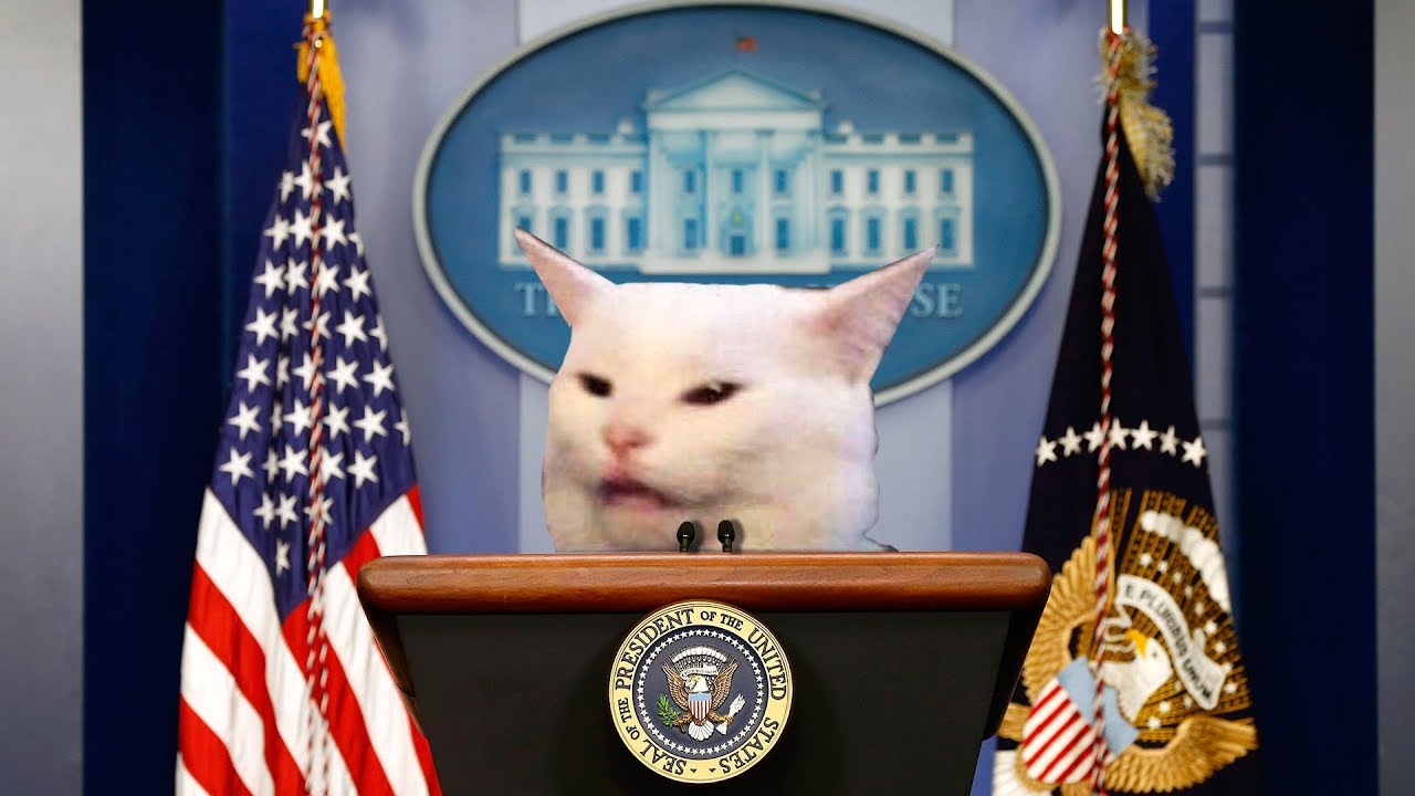 WOMAN YELLING AT CAT [PRESIDENTIAL EDITION]