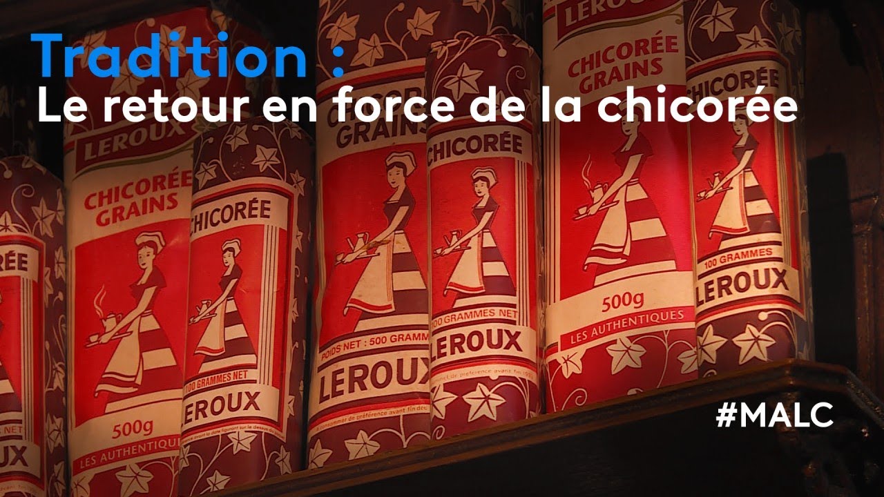 Tradition : le retour en force de la chicorée