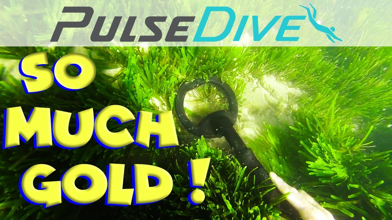 Dive Detecting With The PulseDive in South Africa | SO MUCH GOLD!!! 🌟
