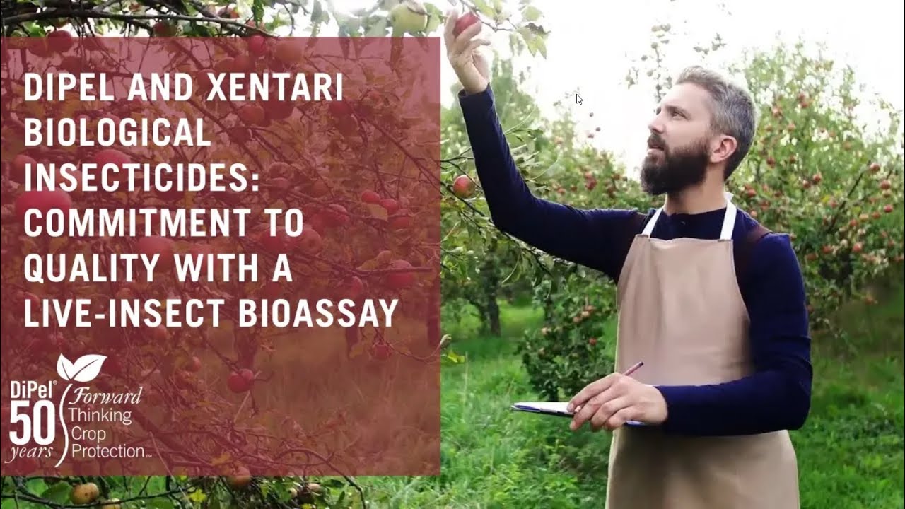 DiPel and XenTari Biological Insecticides: Commitment to Quality with a Live-Insect Bioassay