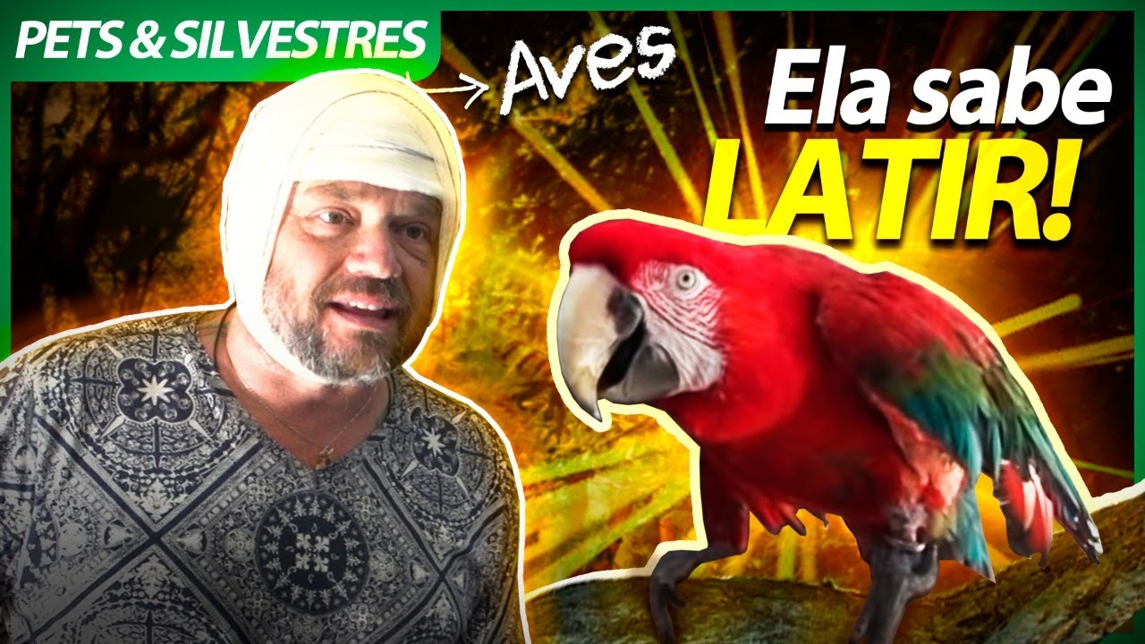 ESSA ARARA PENSA QUE É CACHORRO! | RICHARD RASMUSSEN
