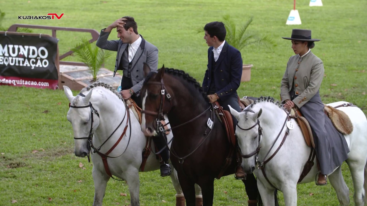 Rep | XXI Campeonato de Equitação de Trabalho - VI Jornada em Mafra
