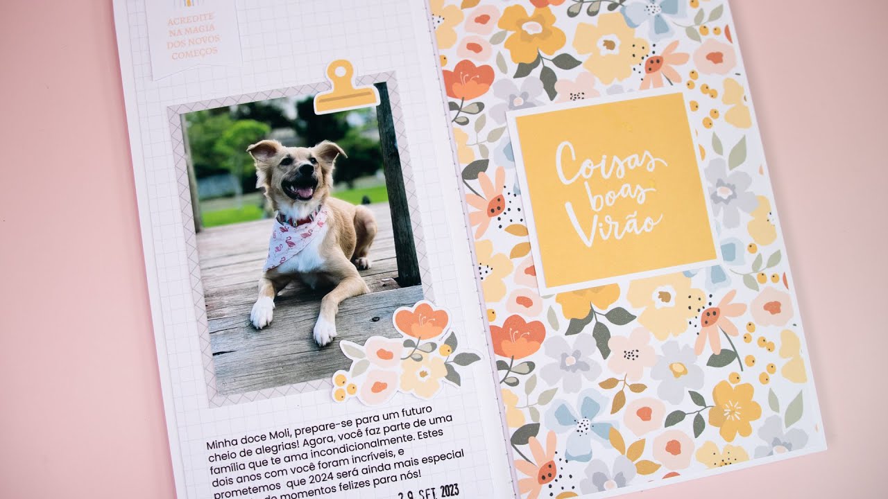 Spread | Novos começos 1
