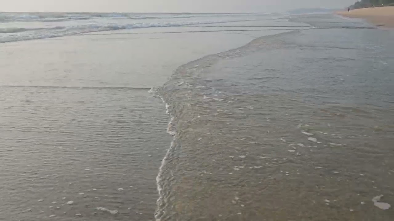 The  Sound & Texture of Ocean 🌊🪼 🌱🍂 