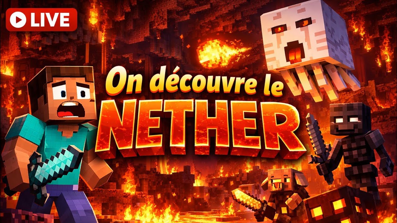 On découvre le nether sur Minecraft 😊😊 #3