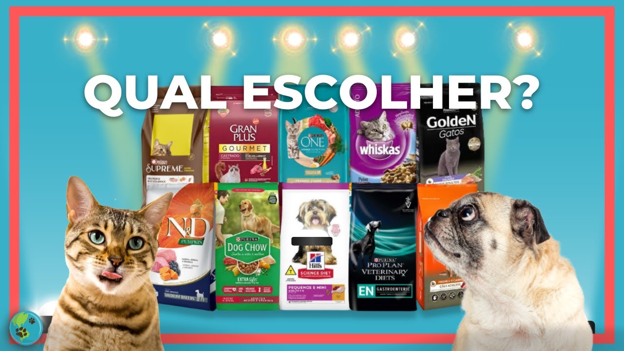 Ração PREMIUM, SUPER PREMIUM, PREMIUM ESPECIAL e de COMBATE, Entenda TO]DAS as DIFERENÇAS