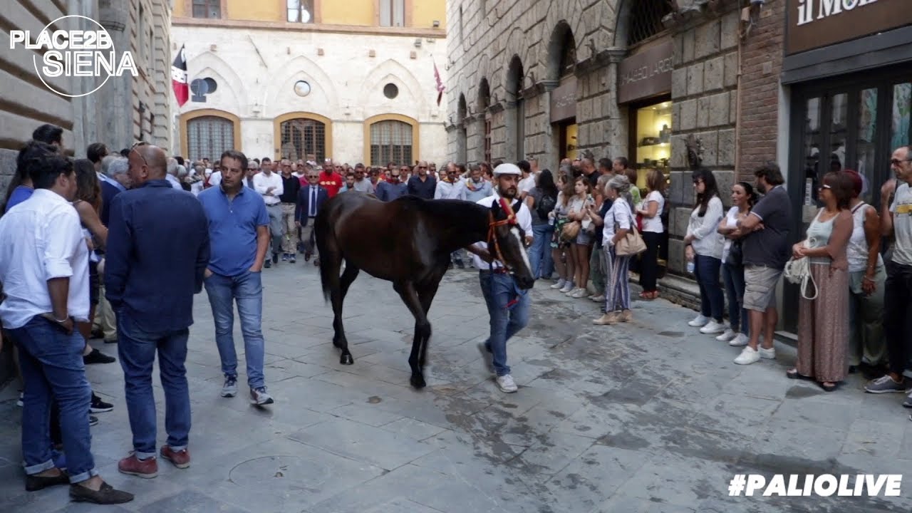 Ingresso delle Contrade in Piazza del Campo per la Quarta Prova