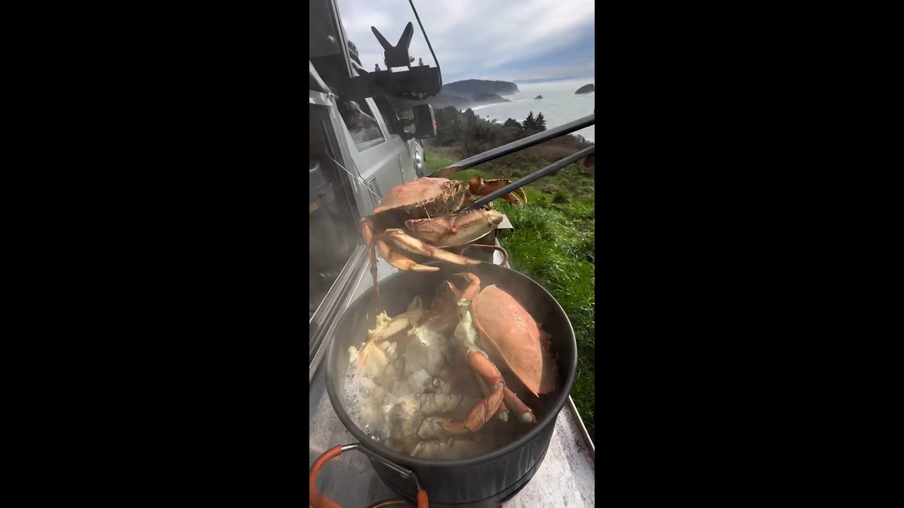 Fresh caught crab chowder