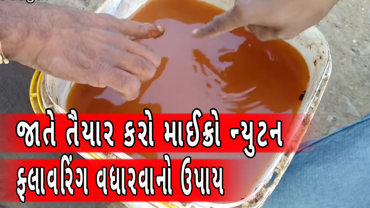 ફ્લાવરિંગ વધારવા માટેનું ઉત્તમ દ્રાવણ|જાતે તૈયાર કરો માઇક્રો ન્યુટન |પ્રાકૃતિક ખેતી |organic farming