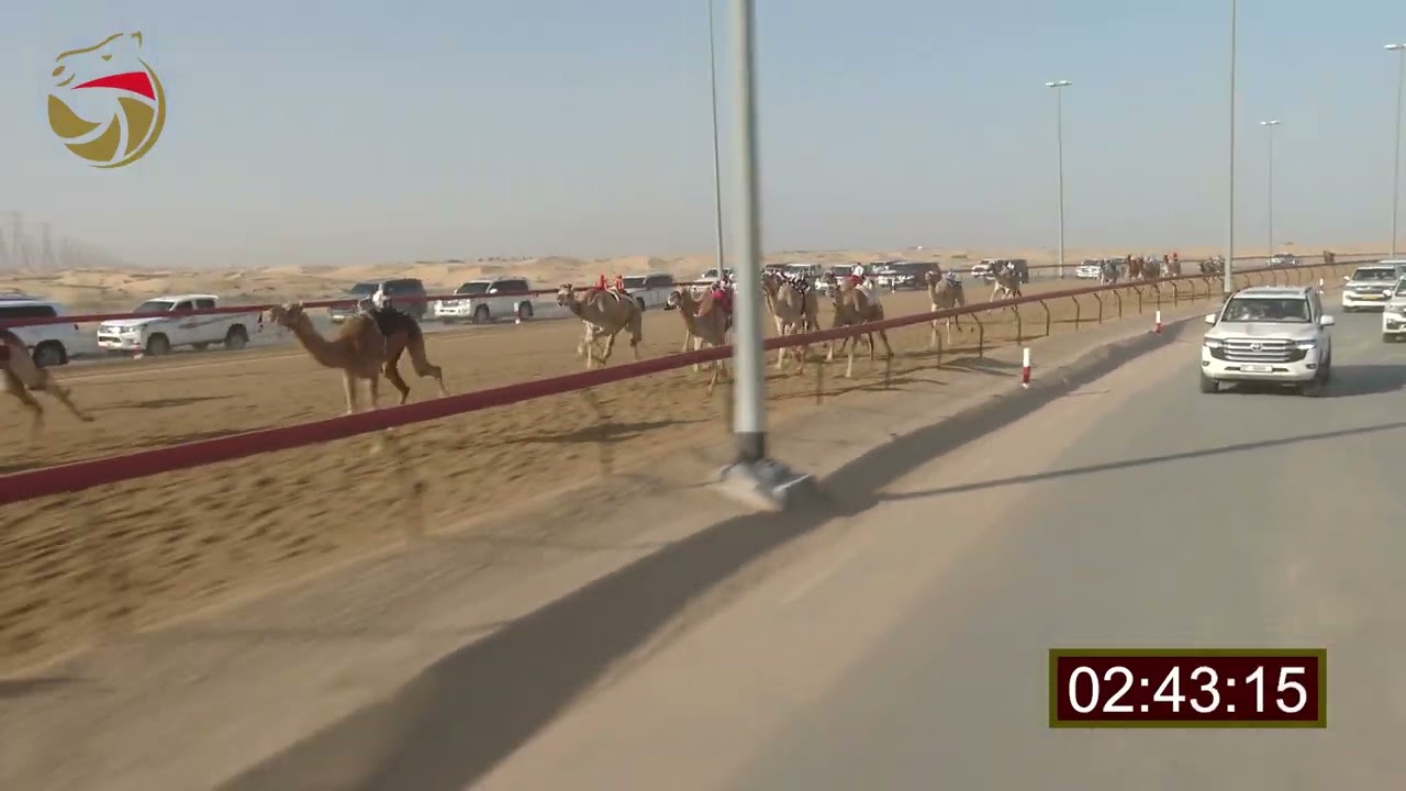 سباق الحقاقة – سيف العرب 30-01-2026 ش15 مذيار لـ خليفه بن مطير العويسي  5:58