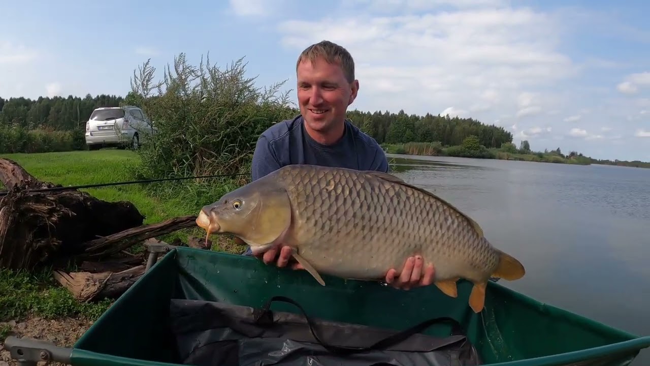 carp lake kintai 2025