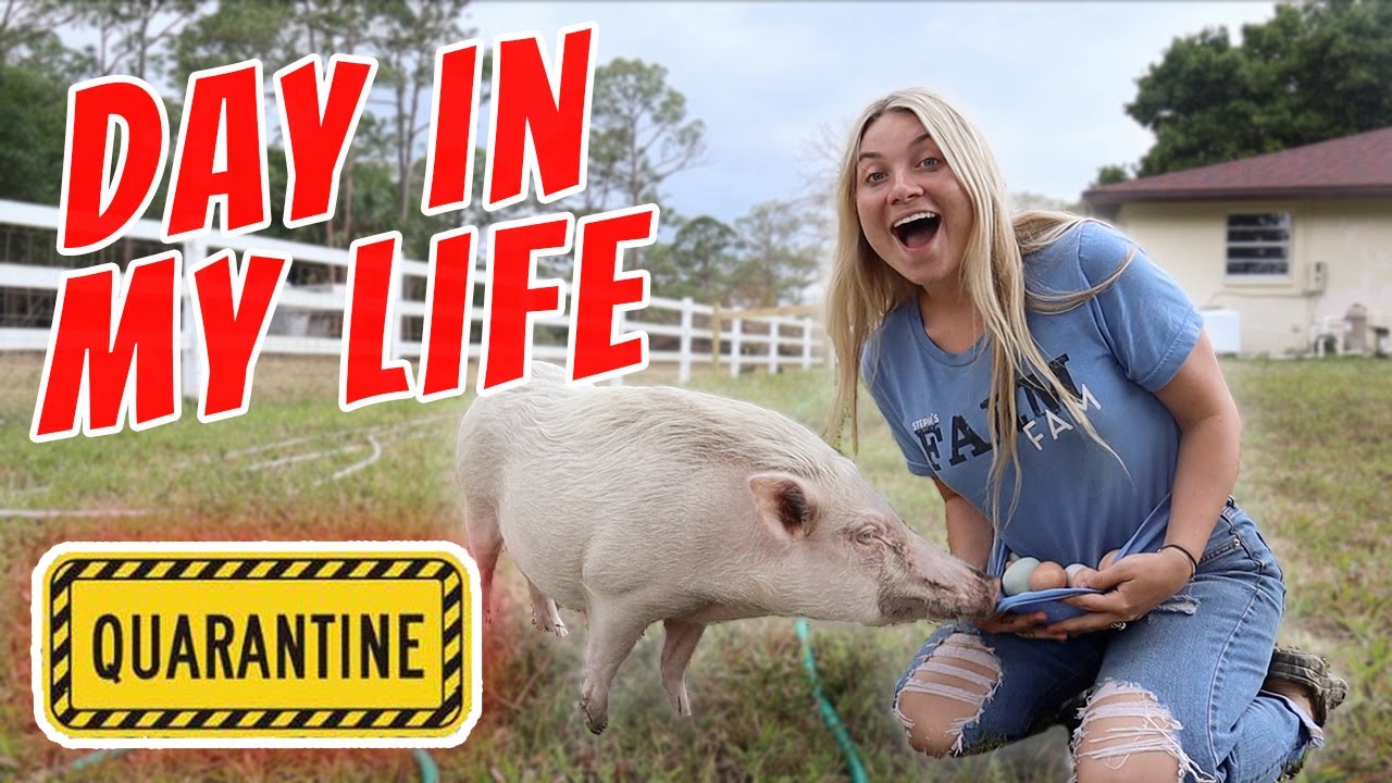 Quarantine Day In My Life with All My Pets! | Feeding All My Pets, Playing Star Stable, Cute Animals