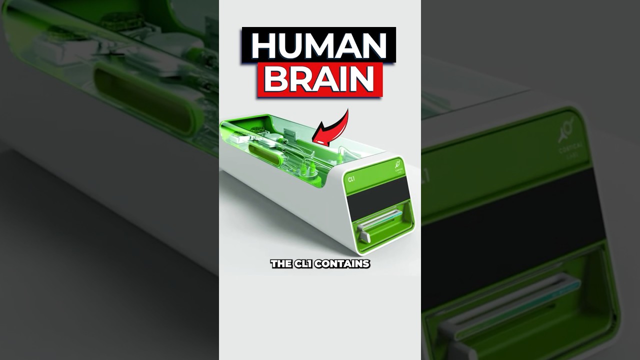 Scientists Create World's First Living Computer