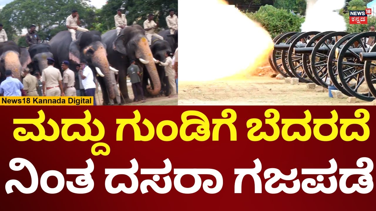 Mysuru Dasara Elephants | ಜಂಬೂಸವಾರಿ ಗಜಪಡೆಗೆ ಮದ್ದುಗುಂಡಿನ ತಾಲೀಮು | N18V