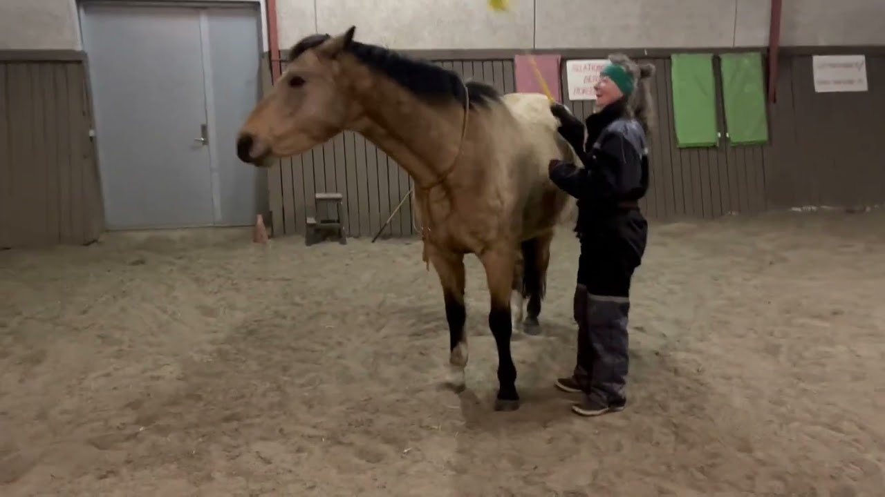 Uge 6. Target mig baghov.