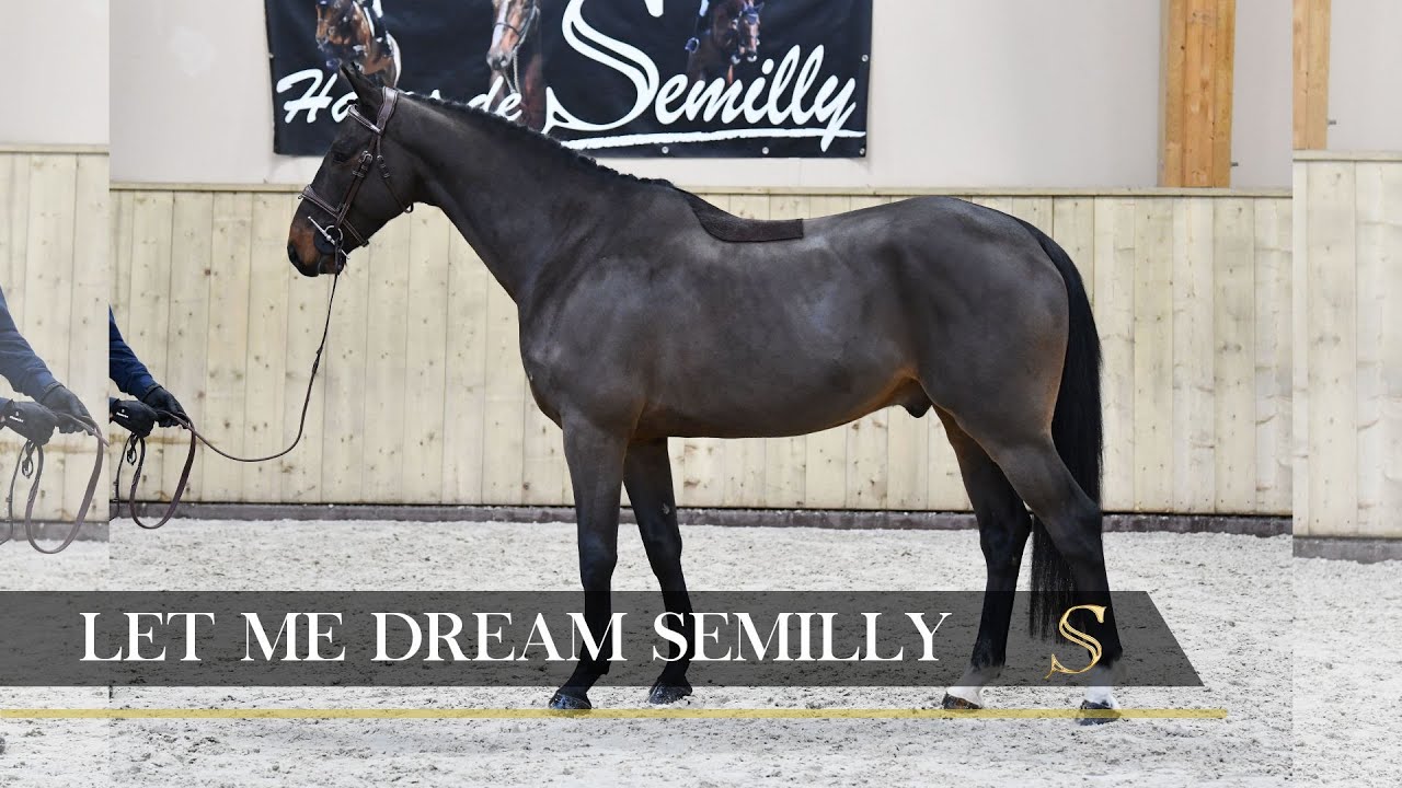 1er encha&icirc;nement pour LET ME DREAM SEMILLY / 3 ans