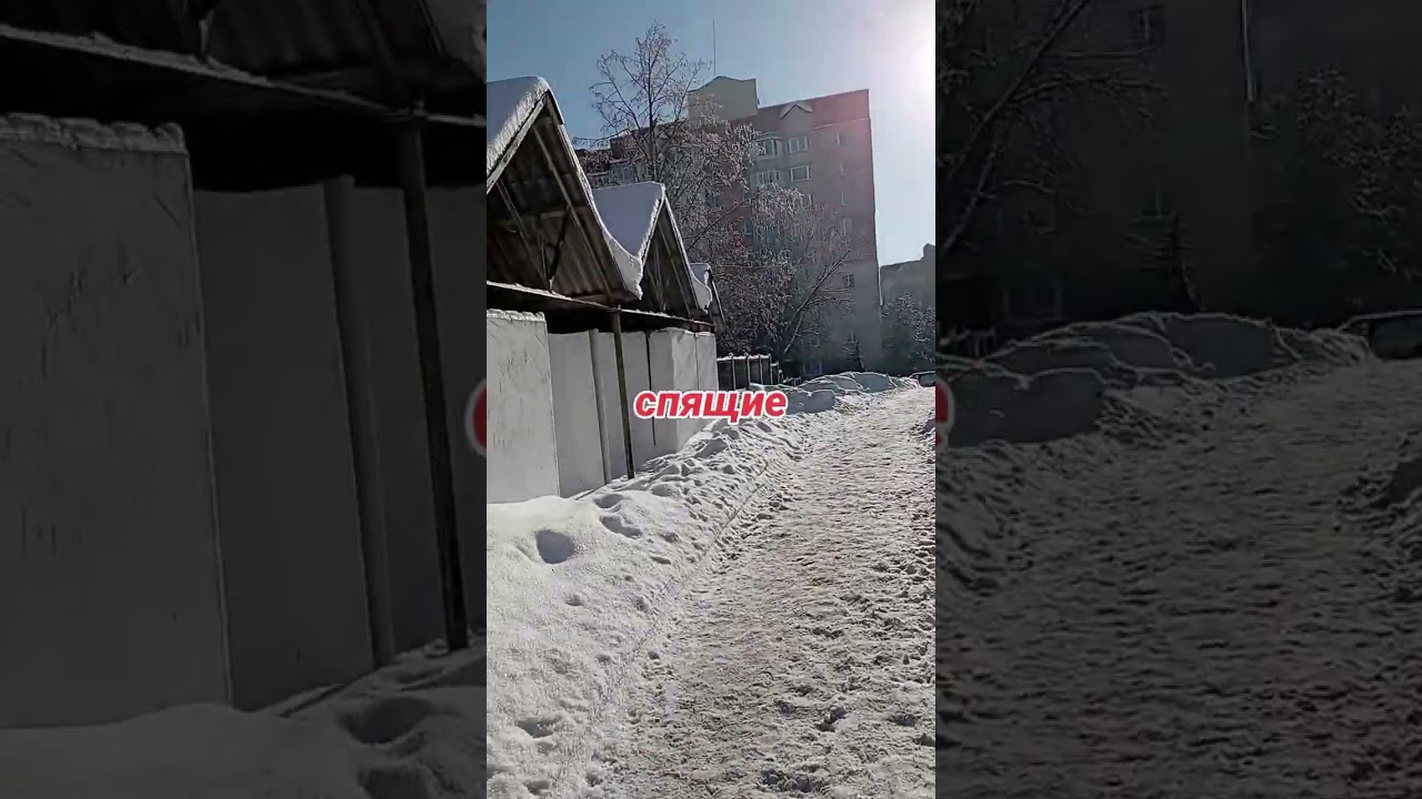 9 февраля 2026 г.