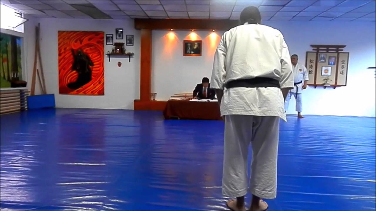 Examenes de 4to Dan   MdP   26Nov2014