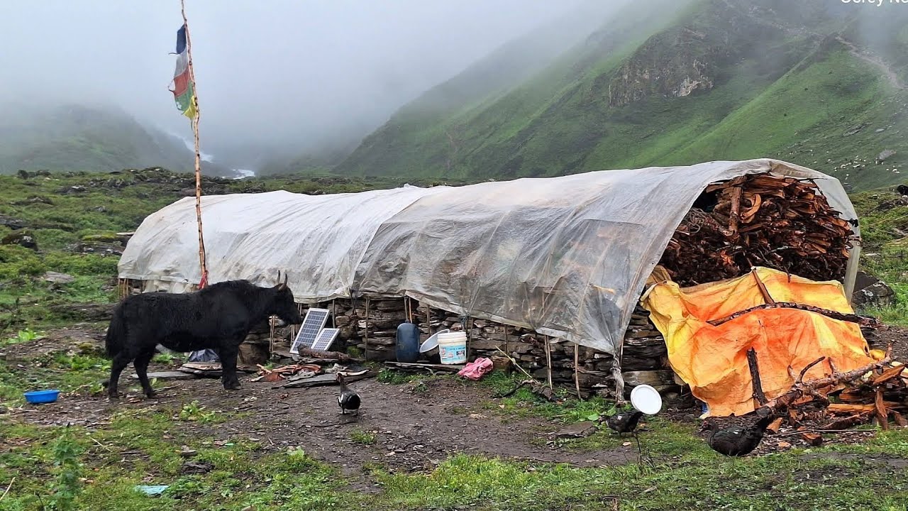 Best Mountain Village Life || Most Peaceful & Relaxing Western Himalayas Living  In Rural Nepal ||..
