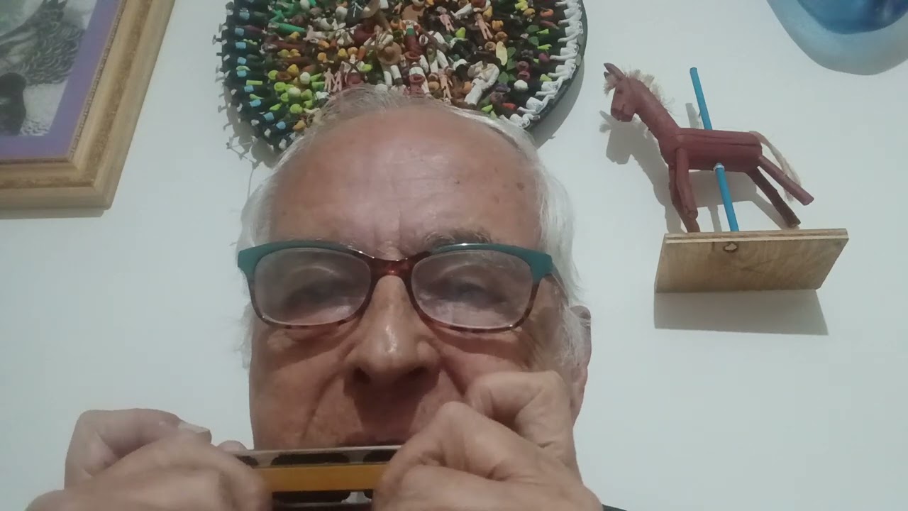 Órgano de boca El Centenario de Hohner afinado en Fa 