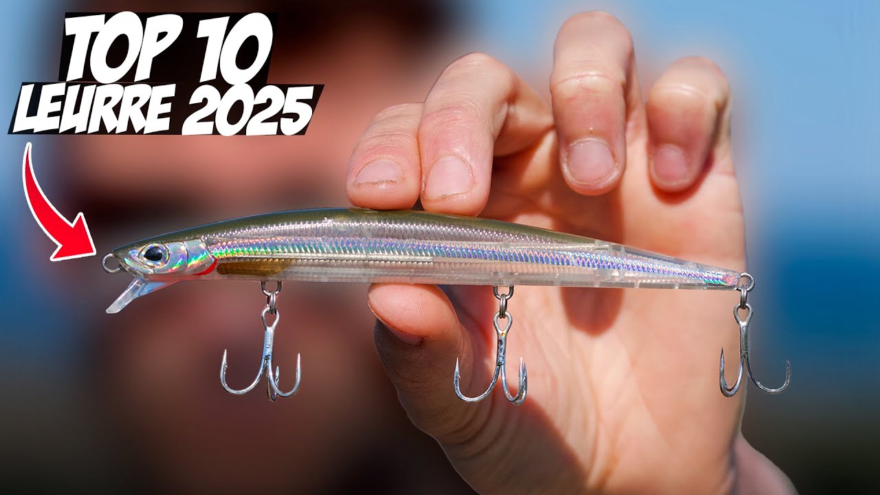 LES 10 MEILLEURS LEURRES DE LA SAION 2025 !!! 👑 BILAN DE LA SAISON 🍃
