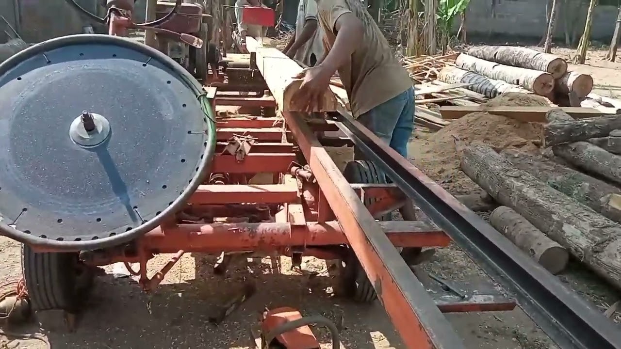 Gak kaut angkat‼️penggergajian jabon dengan serkel rakitan