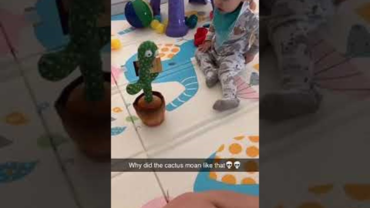 Talking Cactus Makes Interesting Sounds || ViralHog